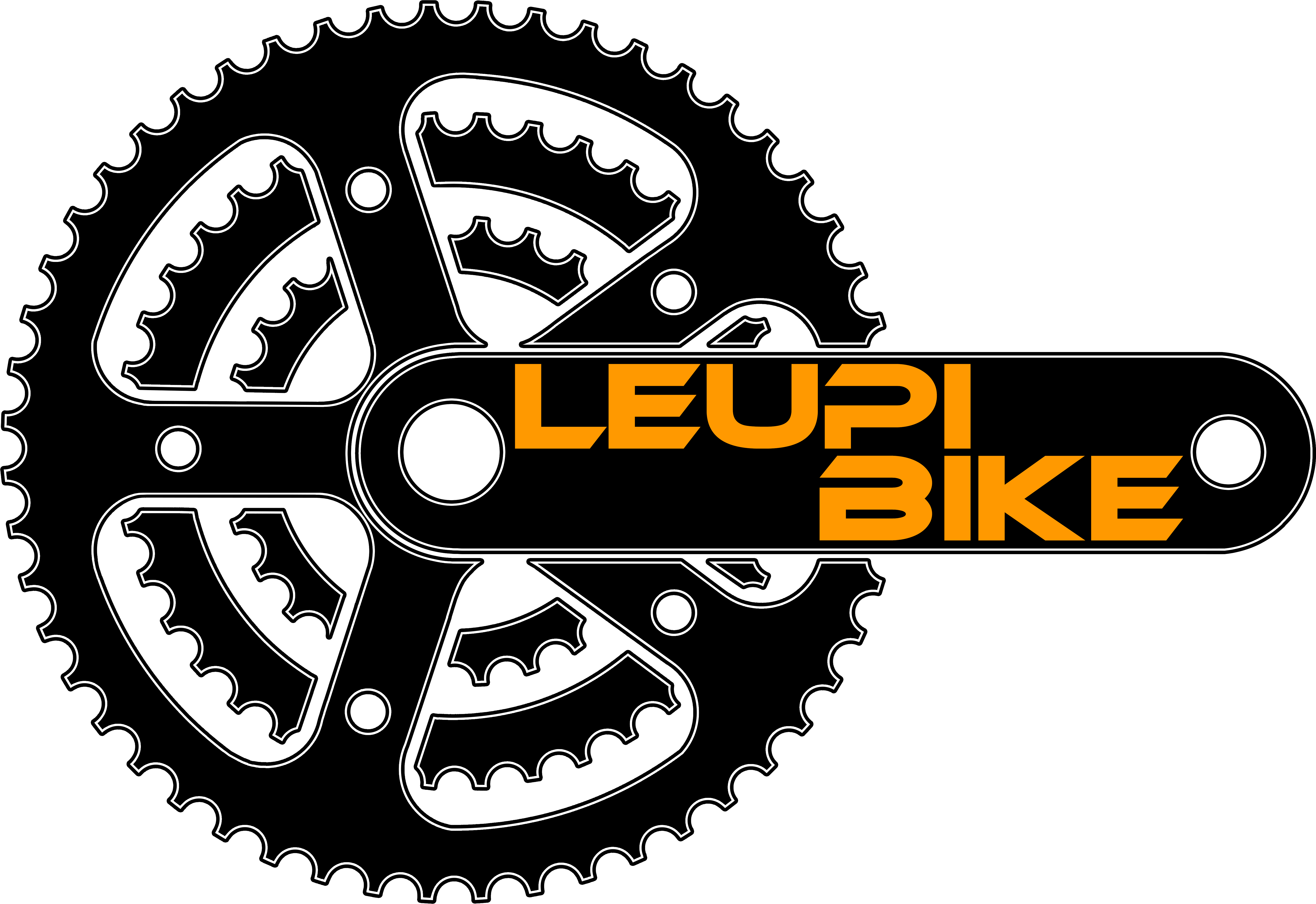 Logo LEUPI BIKE GmbH