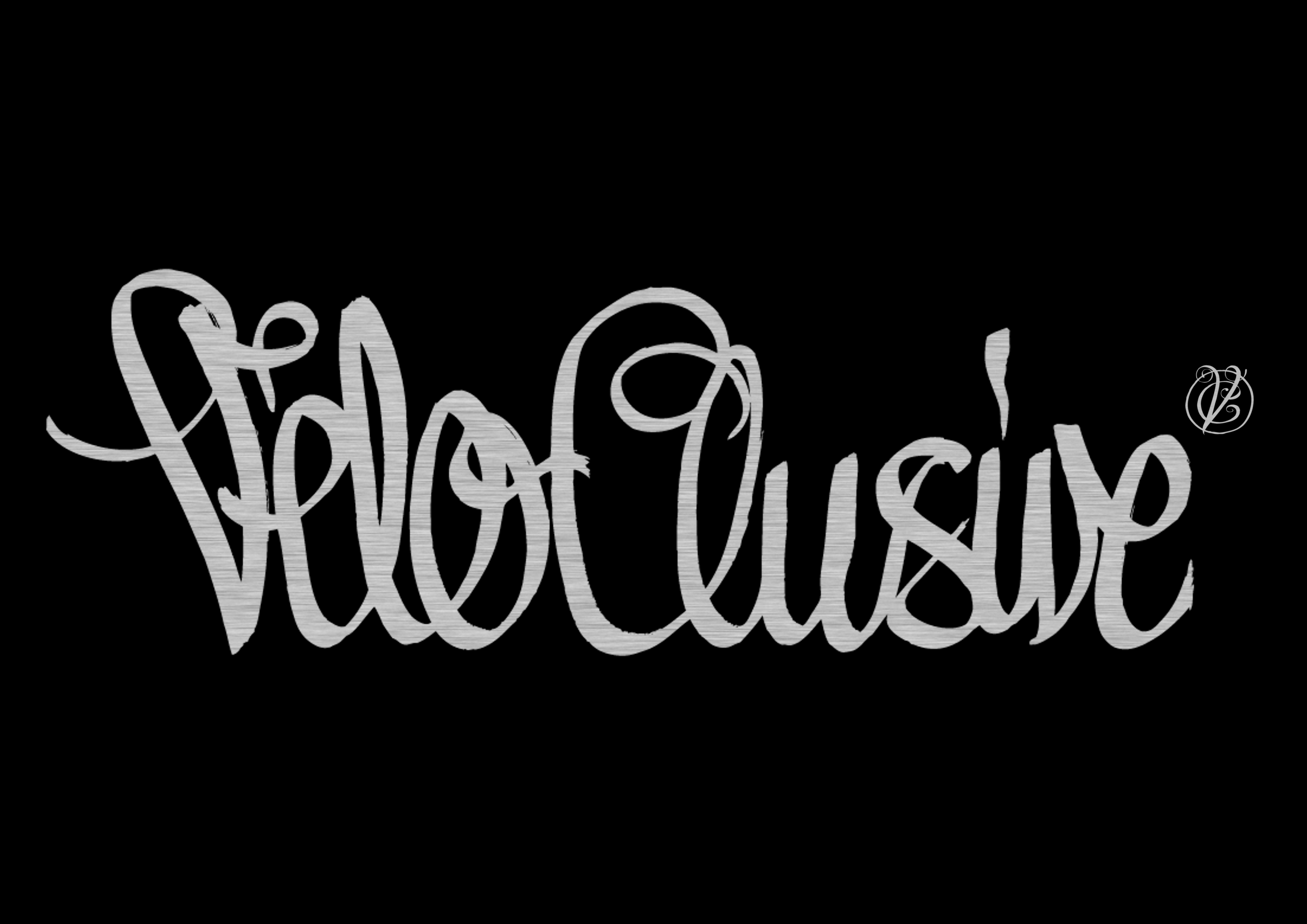 Logo VeloClusive AG