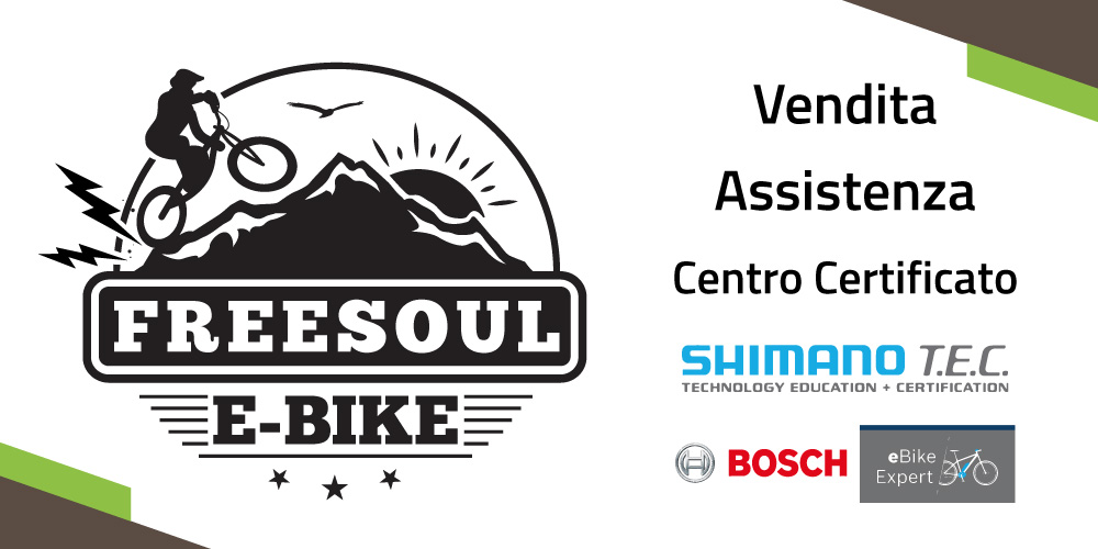 Logo E-Bike Freesoul Sagl